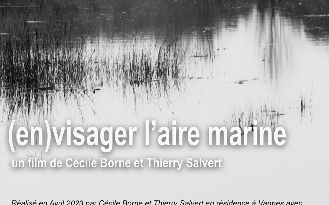 Projection (En)visager l’aire marine le samedi 4 novembre