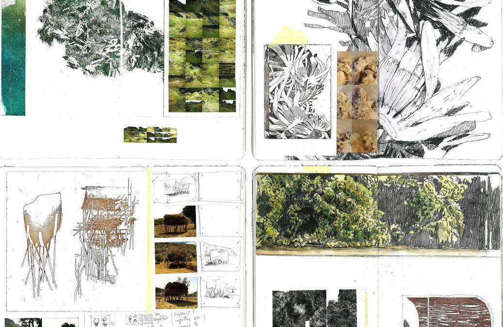 LIVRE D’OR EXPOSITION RHIZOMES, MEMOIRE DE FORMES