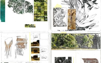 LIVRE D’OR EXPOSITION RHIZOMES, MEMOIRE DE FORMES